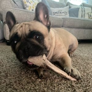 Meet your Posher, Bryson